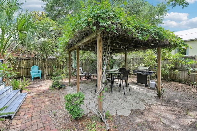 127 M L King Ave, Saint Augustine, FL 32084 - fenced backyard with a grill and a patio
