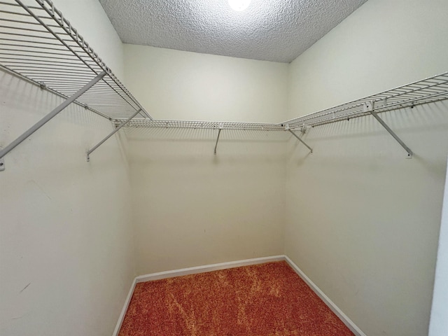 221 Mayan Ter, Saint Augustine, FL 32080 - spacious closet featuring carpet floors