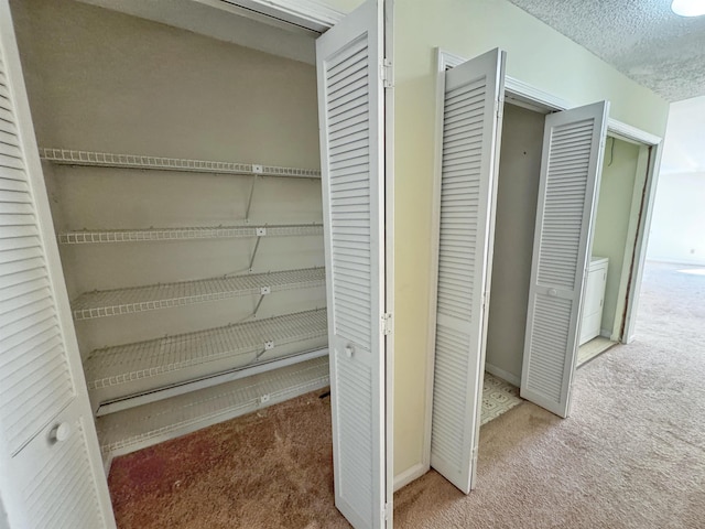 221 Mayan Ter, Saint Augustine, FL 32080 - view of closet