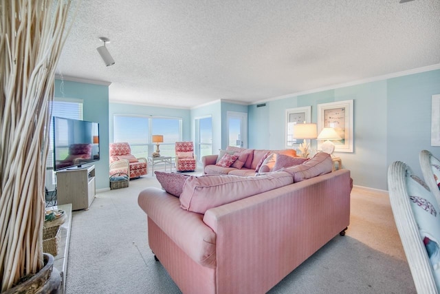 6170 A1A S Unit 101, Saint Augustine, FL 32080 - living area with carpet, a textured ceiling, and crown molding