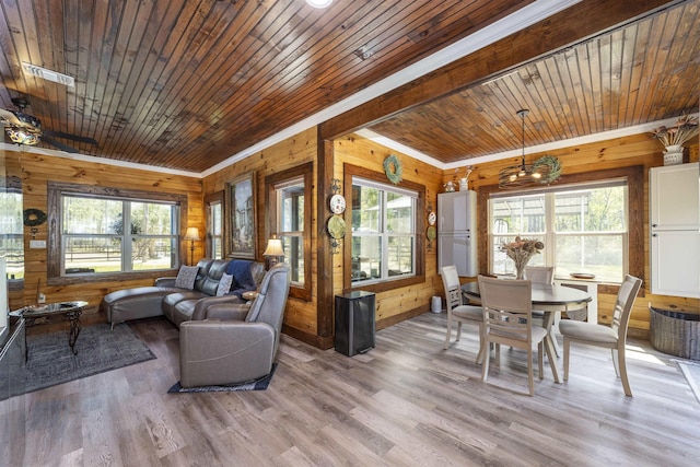 10635 Beckenger Ave, Hastings, FL 32145 - living area featuring plenty of natural light, wooden ceiling, and wood walls