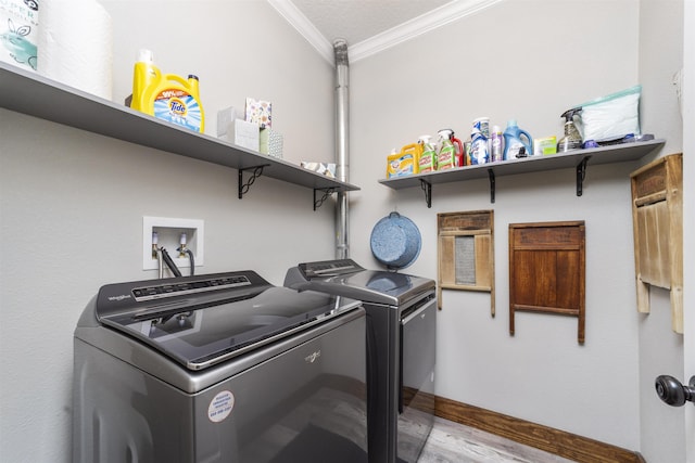 10635 Beckenger Ave, Hastings, FL 32145 - laundry area with crown molding, laundry area, washer and dryer, and wood finished floors