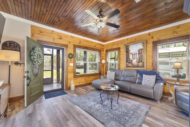 10635 Beckenger Ave, Hastings, FL 32145 - living room with wood ceiling, ornamental molding, wood walls, and ceiling fan