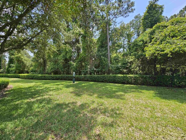 4420 Capital Dome Dr, Jacksonville, FL 32246 - photo 38