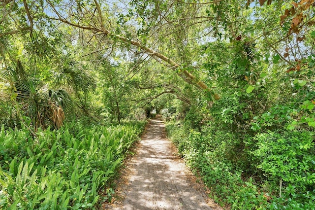 403 Second St, Saint Augustine, FL 32084 - view of street