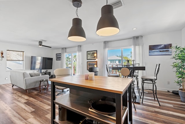 dining area featuring a wealth of natural light, ceiling fan, and hardwood / wood-style flooring