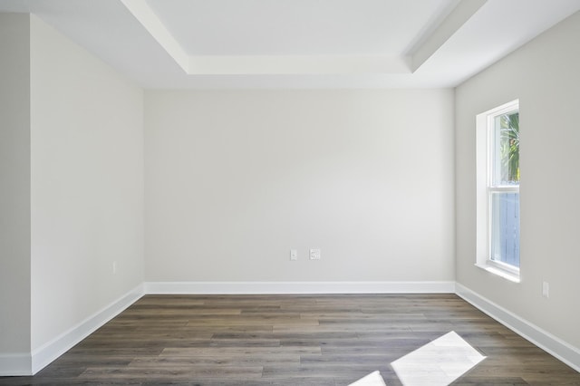 empty room featuring a tray ceiling and dark wood-type flooring