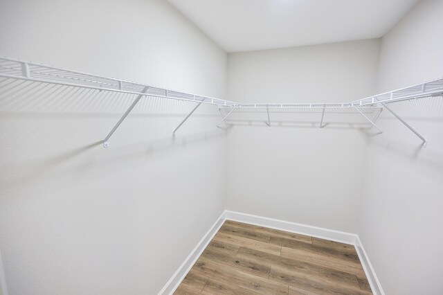 walk in closet with hardwood / wood-style floors