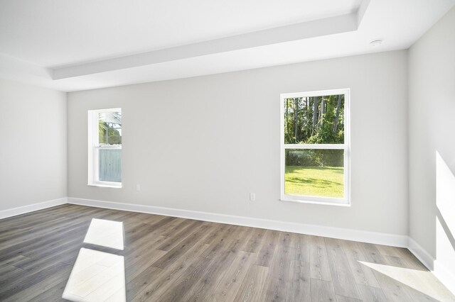 unfurnished room with a raised ceiling and wood-type flooring