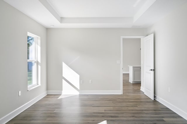 unfurnished room featuring dark hardwood / wood-style flooring, a raised ceiling, and a wealth of natural light