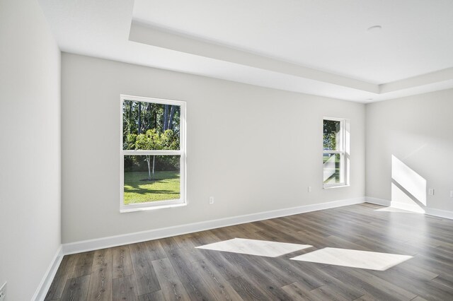 empty room featuring dark hardwood / wood-style floors and a raised ceiling