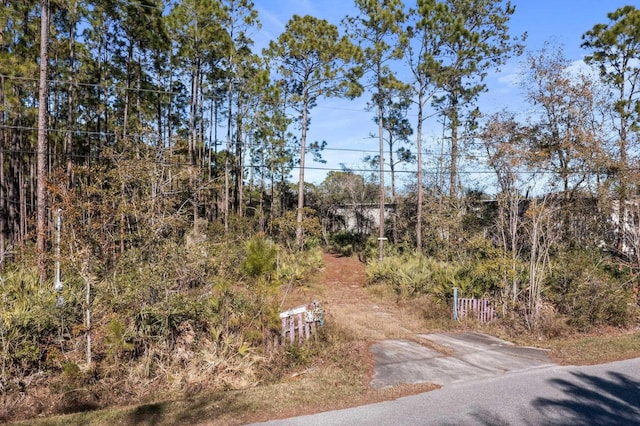 724 Cypress Rd, Saint Augustine FL, 32086 land for sale