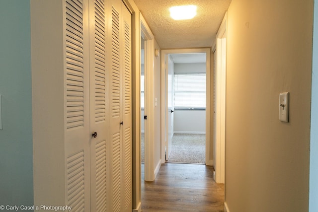 30 Alcira Ct, Saint Augustine, FL 32086 - photo 10