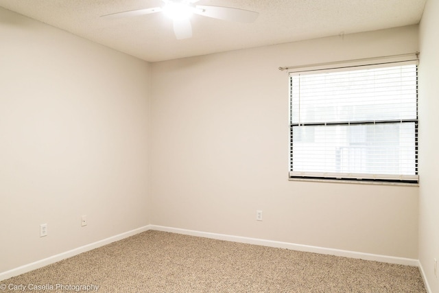 30 Alcira Ct, Saint Augustine, FL 32086 - photo 15