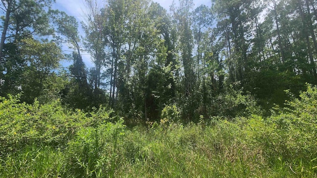225 2nd St, Georgetown, FL 32139 - photo 1