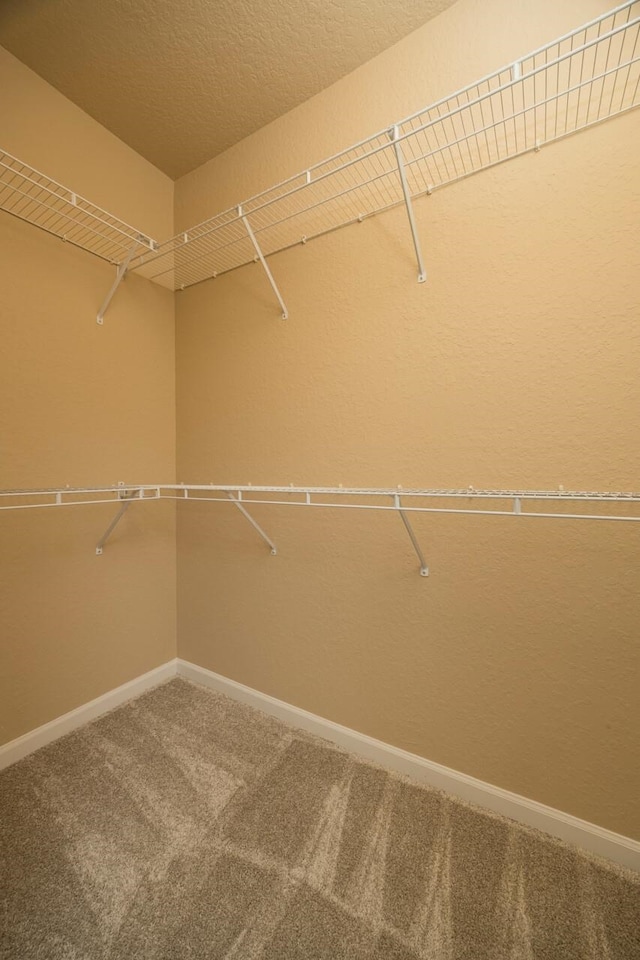 walk in closet with carpet floors