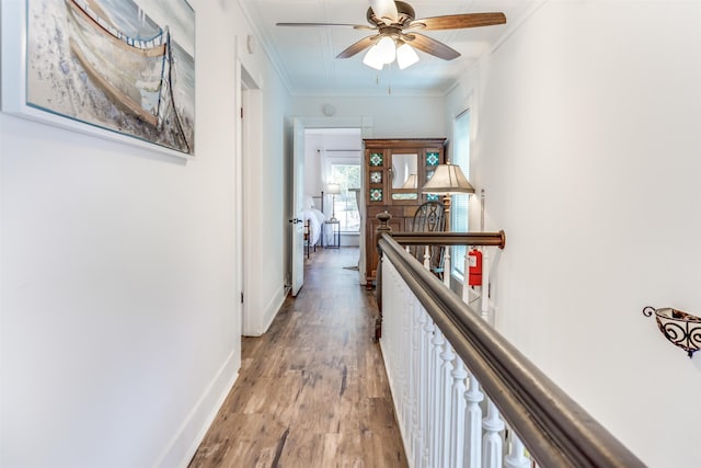20 Davis St, Saint Augustine, FL 32084 - photo 35