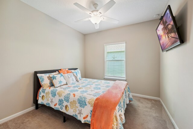 164 Edge Park Trl, Saint Augustine, FL 32086 - photo 25