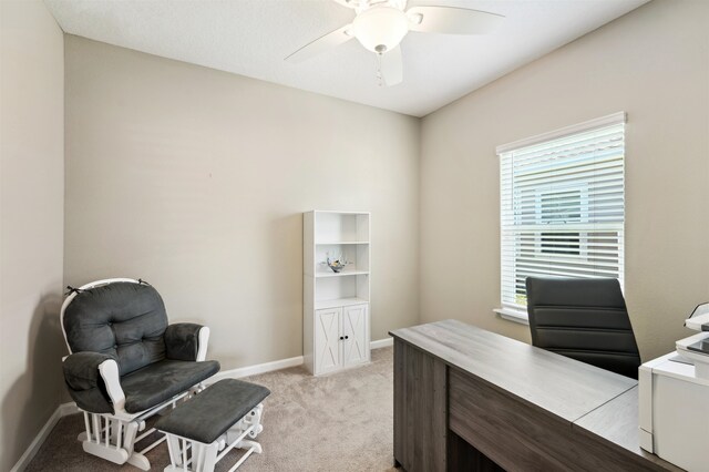 164 Edge Park Trl, Saint Augustine, FL 32086 - photo 30