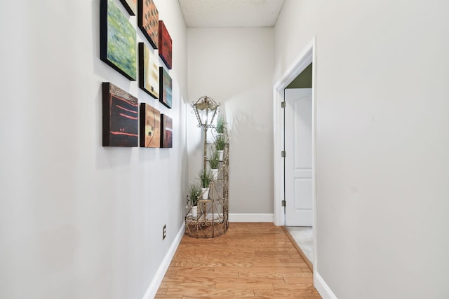 hall with light hardwood / wood-style flooring