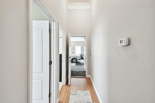 corridor with light hardwood / wood-style floors and ornamental molding