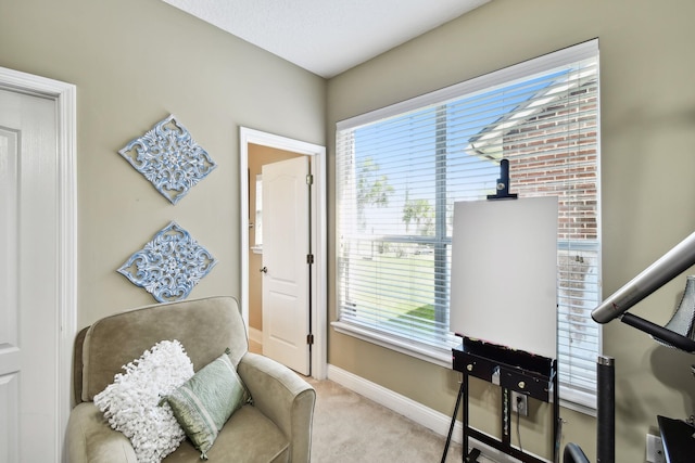 living area featuring light colored carpet and a healthy amount of sunlight