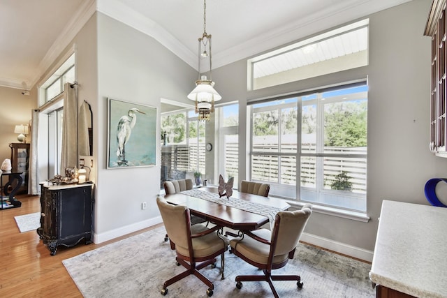 dining room featuring light hardwood / wood-style flooring, a healthy amount of sunlight, and crown molding