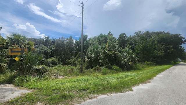 837 Paradise Blvd, Georgetown FL, 32139 land for sale