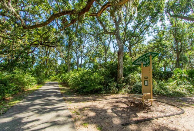 301 Graciela Cir, Saint Augustine, FL 32086 - view of property's community