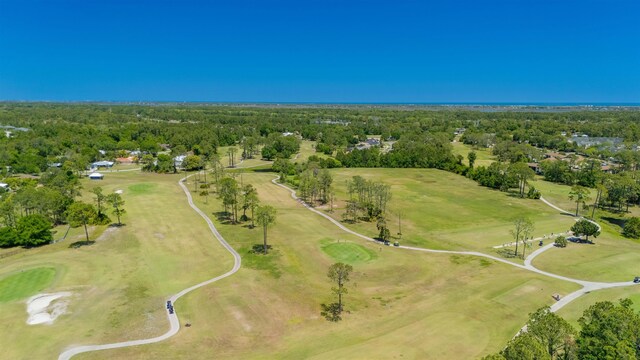 301 Graciela Cir, Saint Augustine, FL 32086 - drone / aerial view featuring golf course view