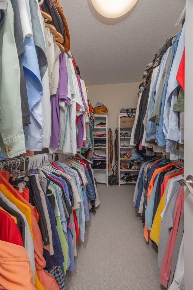 301 Graciela Cir, Saint Augustine, FL 32086 - walk in closet featuring carpet