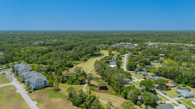 301 Graciela Cir, Saint Augustine, FL 32086 - birds eye view of property with a forest view and a residential view