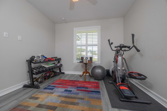 301 Graciela Cir, Saint Augustine, FL 32086 - exercise area featuring baseboards, a ceiling fan, wood finished floors, and a textured ceiling