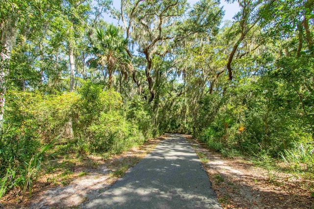 301 Graciela Cir, Saint Augustine, FL 32086 - view of street with a forest view