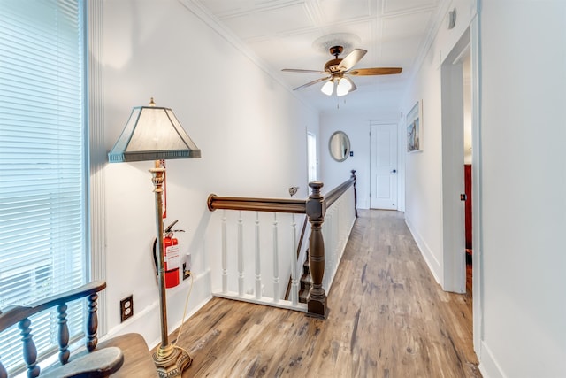 hallway featuring crown molding, plenty of natural light, and light hardwood / wood-style flooring