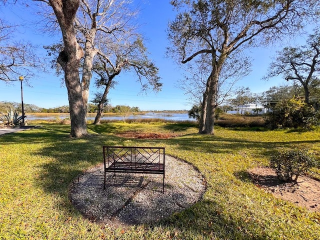 view of home's community with a yard