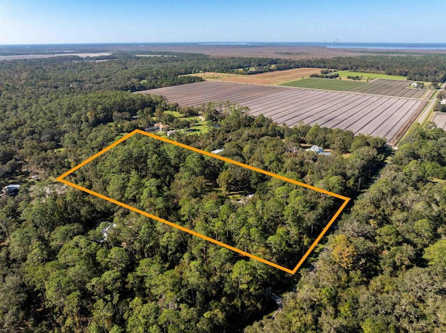 5525 Saint Ambrose Church Rd, Elkton, FL 32033 - overview of rural landscape featuring property parcel outlined and a forest
