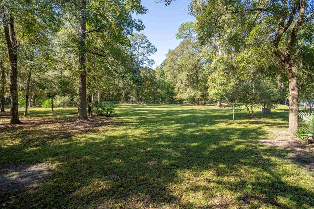 5525 Saint Ambrose Church Rd, Elkton, FL 32033 - view of yard