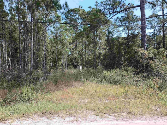 10520 Beckenger Ave, Hastings FL, 32145 land for sale