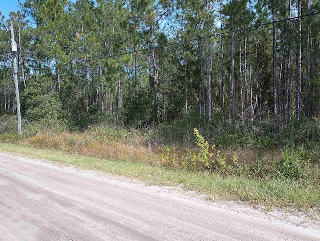 10520 Beckenger Ave, Hastings, FL 32145 - photo 2