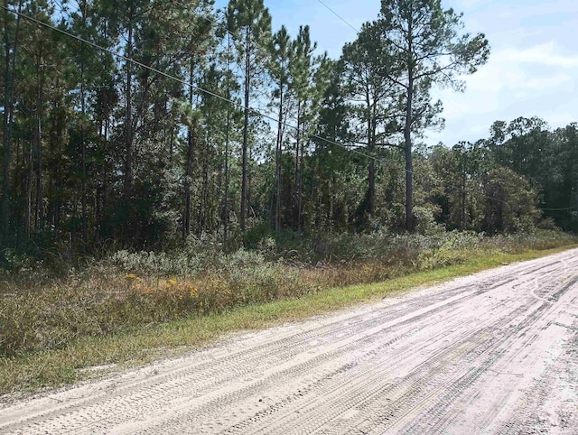 10520 Beckenger Ave, Hastings, FL 32145 - photo 3