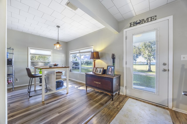 entrance foyer with dark wood-type flooring