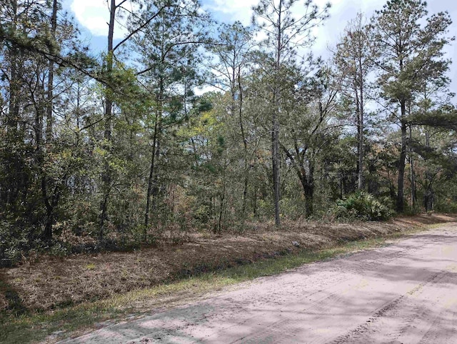 5429 Jonathan St, Hastings FL, 32145 land for sale