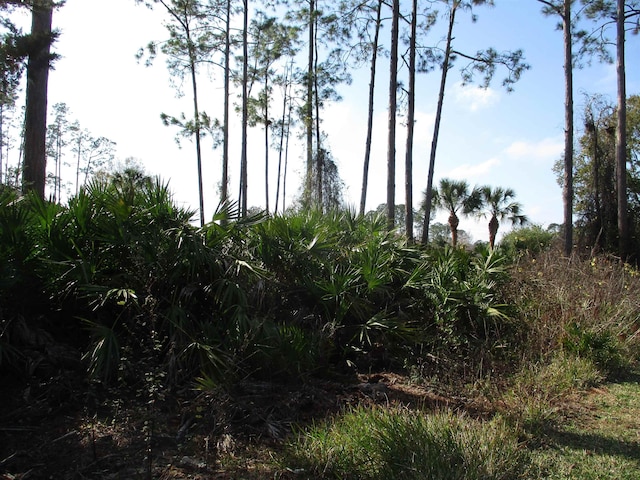 Listing photo 2 for 32 Edgewater Dr, Palm Coast FL 32164