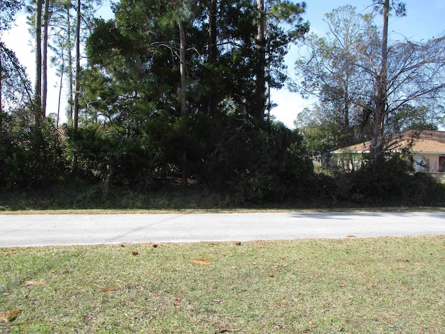 32 Edgewater Dr, Palm Coast FL, 32164 land for sale