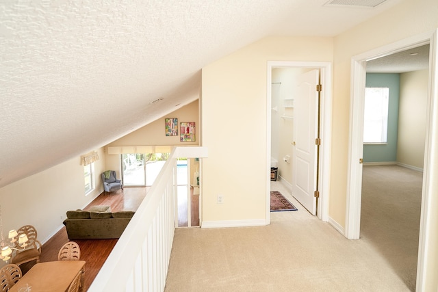 209 Lions Gate Dr, Saint Augustine, FL 32080 - hallway with a wealth of natural light, light colored carpet, and a textured ceiling