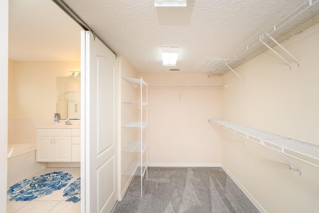 209 Lions Gate Dr, Saint Augustine, FL 32080 - walk in closet with carpet flooring and a sink