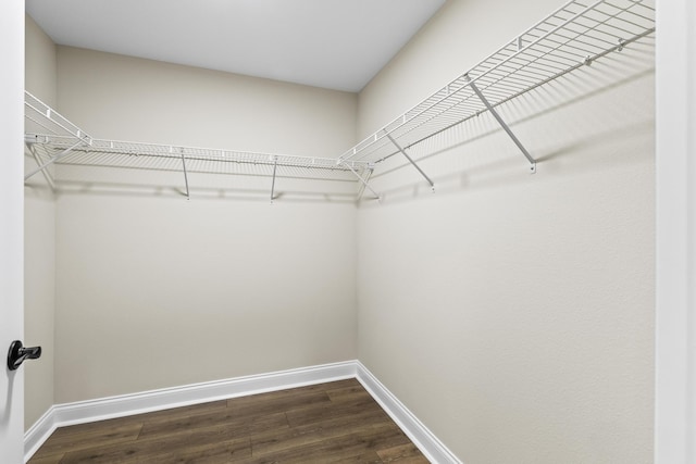 spacious closet with dark wood finished floors