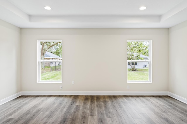 spare room featuring a wealth of natural light, baseboards, wood finished floors, and recessed lighting