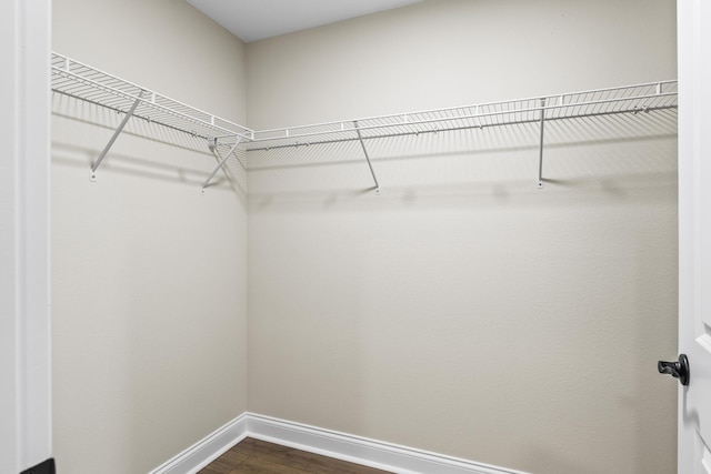 walk in closet featuring dark wood finished floors